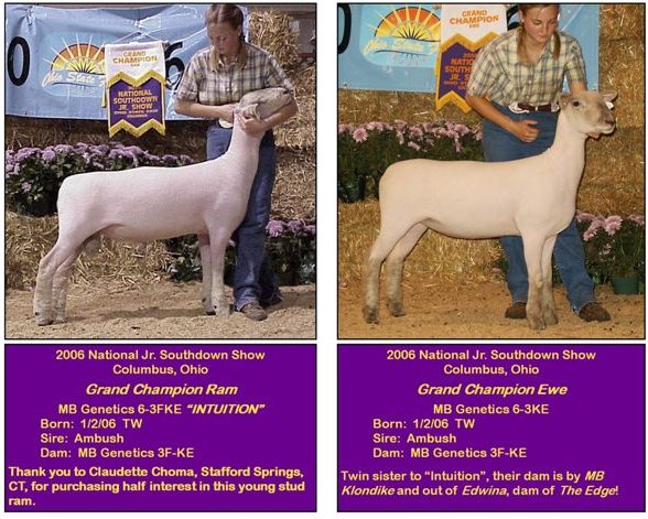 2006 Nat Jr SD Show Grand Champions